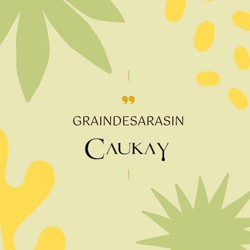Graindesarasin Collection