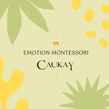 Emotion Montessori