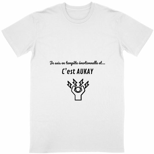 T-shirt Unisexe Classique - Tempête Emotionnelle