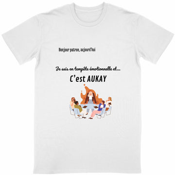 T-shirt Unisexe Adulte- Patron ? Je suis en tempête émotionnelle !