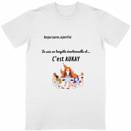 T-shirt Unisexe Classique Tempête Émotionnelle