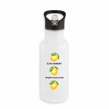 Bouteille en inox avec paille Citron - AUKAY