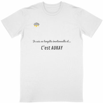 T-shirt Unisexe Adulte Classique Tempête Émotionnelle