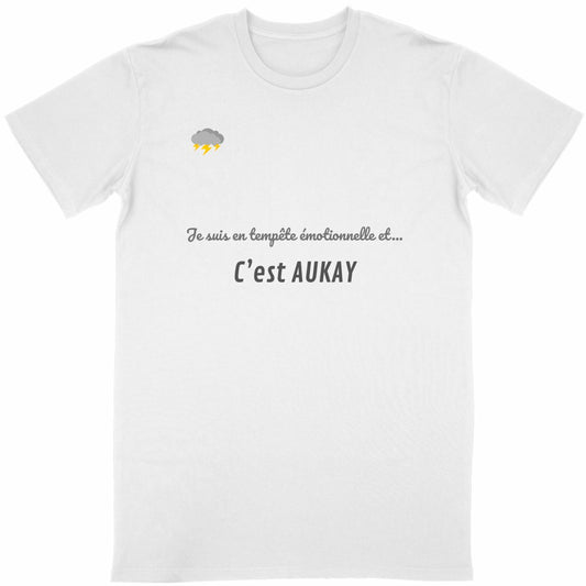 T-shirt Unisexe Adulte Classique Tempête Émotionnelle