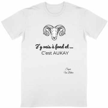 T-shirt Bélier Astro adulte