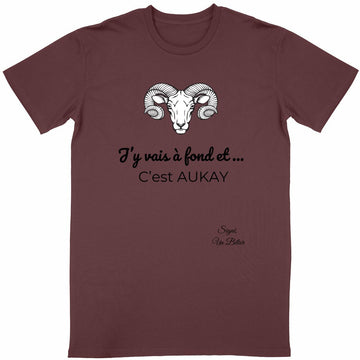 T-shirt Unisexe Classique Signe Astro Bélier