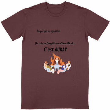 T-shirt Unisexe Classique Tempête Émotionnelle