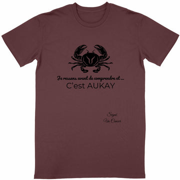 T-shirt Unisexe Classique Signe Cancer Astrologie