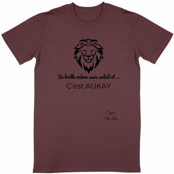 T-shirt Unisexe Classique - Signe Astro Lion