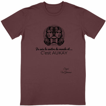 T-shirt Unisexe Classique Gémeaux
