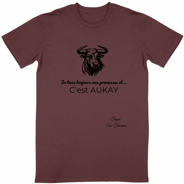 T-shirt Unisexe Classique Taureau Signe Astro