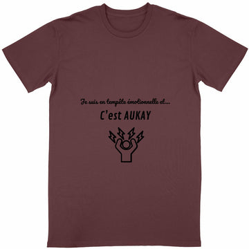 T-shirt Unisexe Classique - Tempête Emotionnelle
