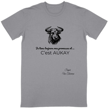 T-shirt Unisexe Classique Taureau Signe Astro