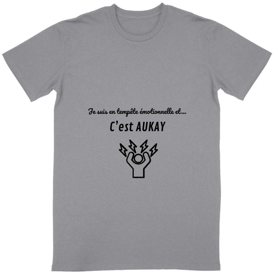 T-shirt Unisexe Classique - Tempête Emotionnelle