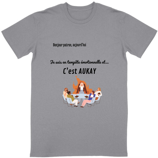 T-shirt Unisexe Classique Tempête Émotionnelle