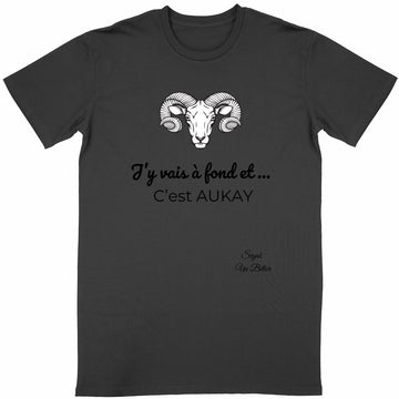 T-shirt Bélier Astro adulte