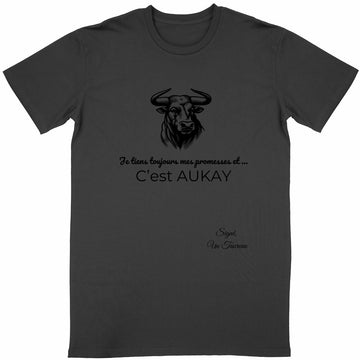 T-shirt Unisexe Classique Taureau Signe Astro